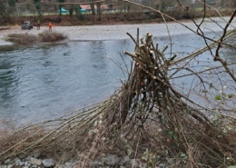 Aare Bremgarten Asthaufen bereit zum Rücken