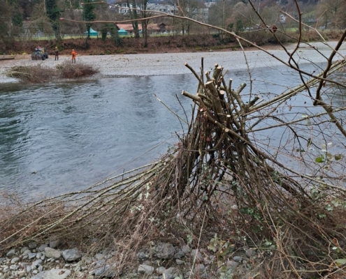 Aare Bremgarten Asthaufen bereit zum Rücken
