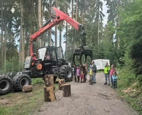 Infoabend Stämme stapeln mit Welte