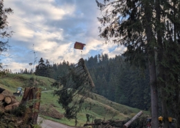 Seilbahnbetrieb Holzschlag Züsenegg