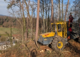 Waldrandpflege Thierachern